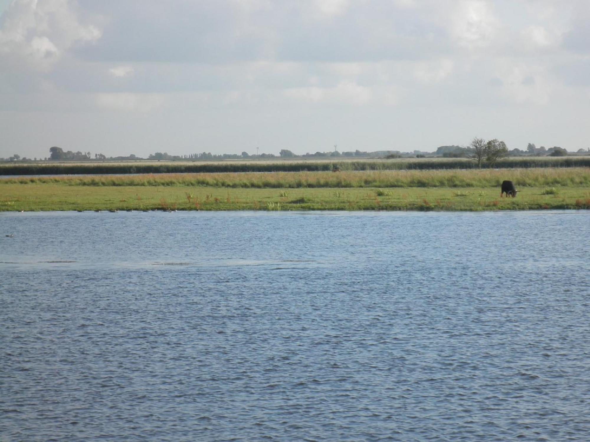 Leonie 6 Pers Holiday Home With A Large Garden Close To The Lauwersmeer Anjum Luaran gambar